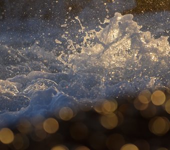 Золото моря