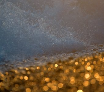 «Золото моря»