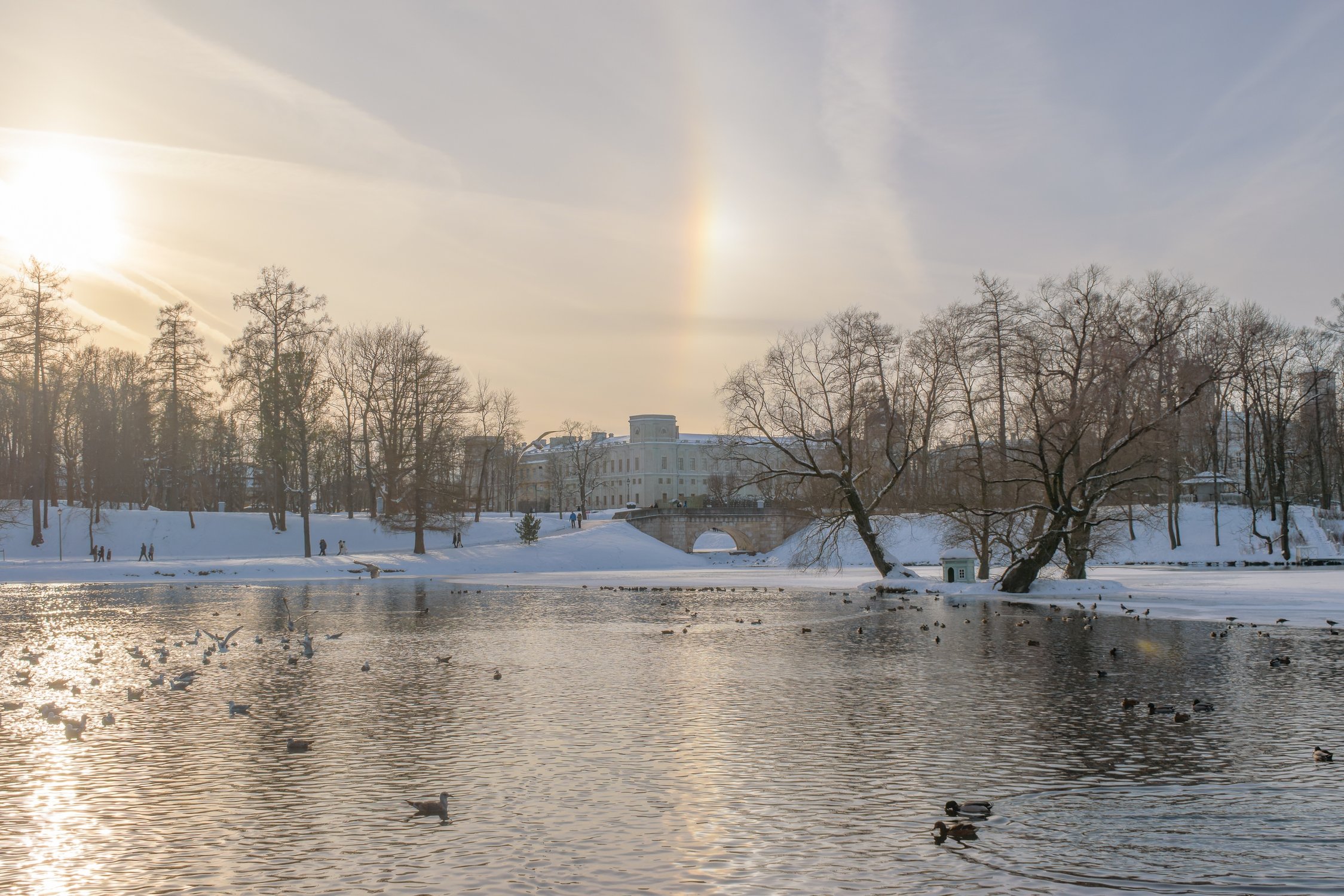 Радужное гало над Большим Гатчинским дворцом