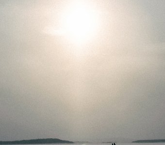 В ожидании весны