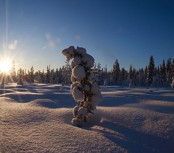Зимняя сказка