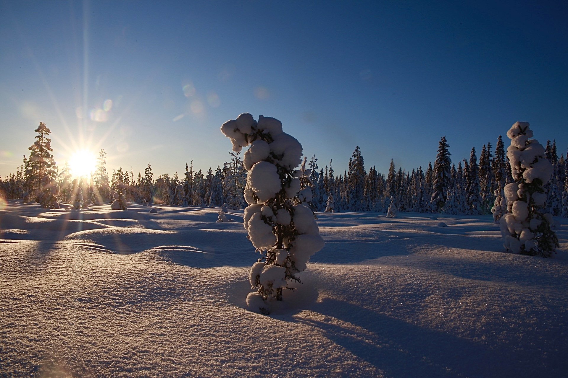 Зимняя сказка