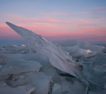 Нежное утро