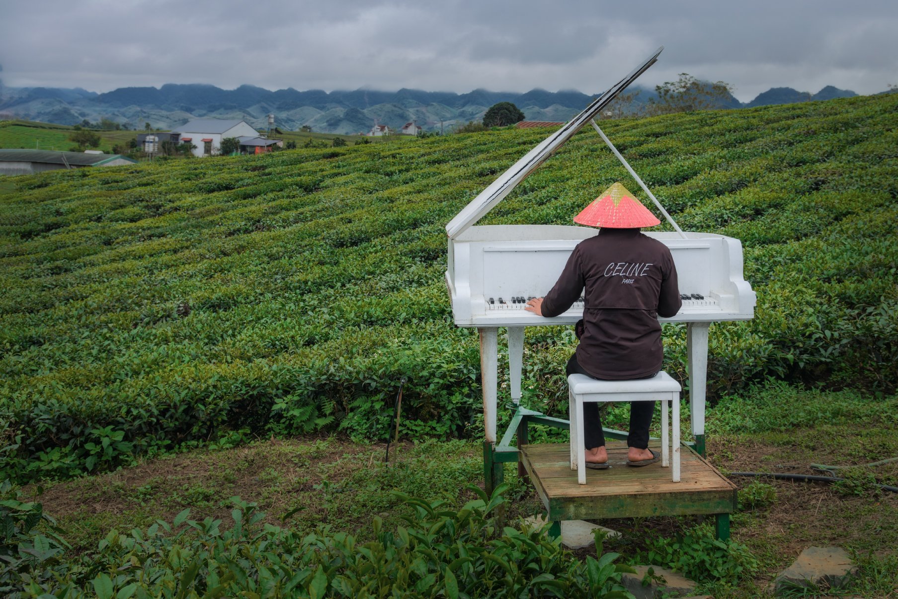 Концерт для фортепьяно с оркестром, или Про белый рояль в кустах