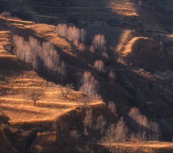 Межсезонье