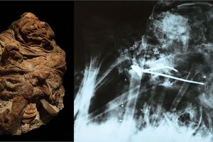 Что инки делали со своими детскими жертвами: зловещий ритуал капакоча