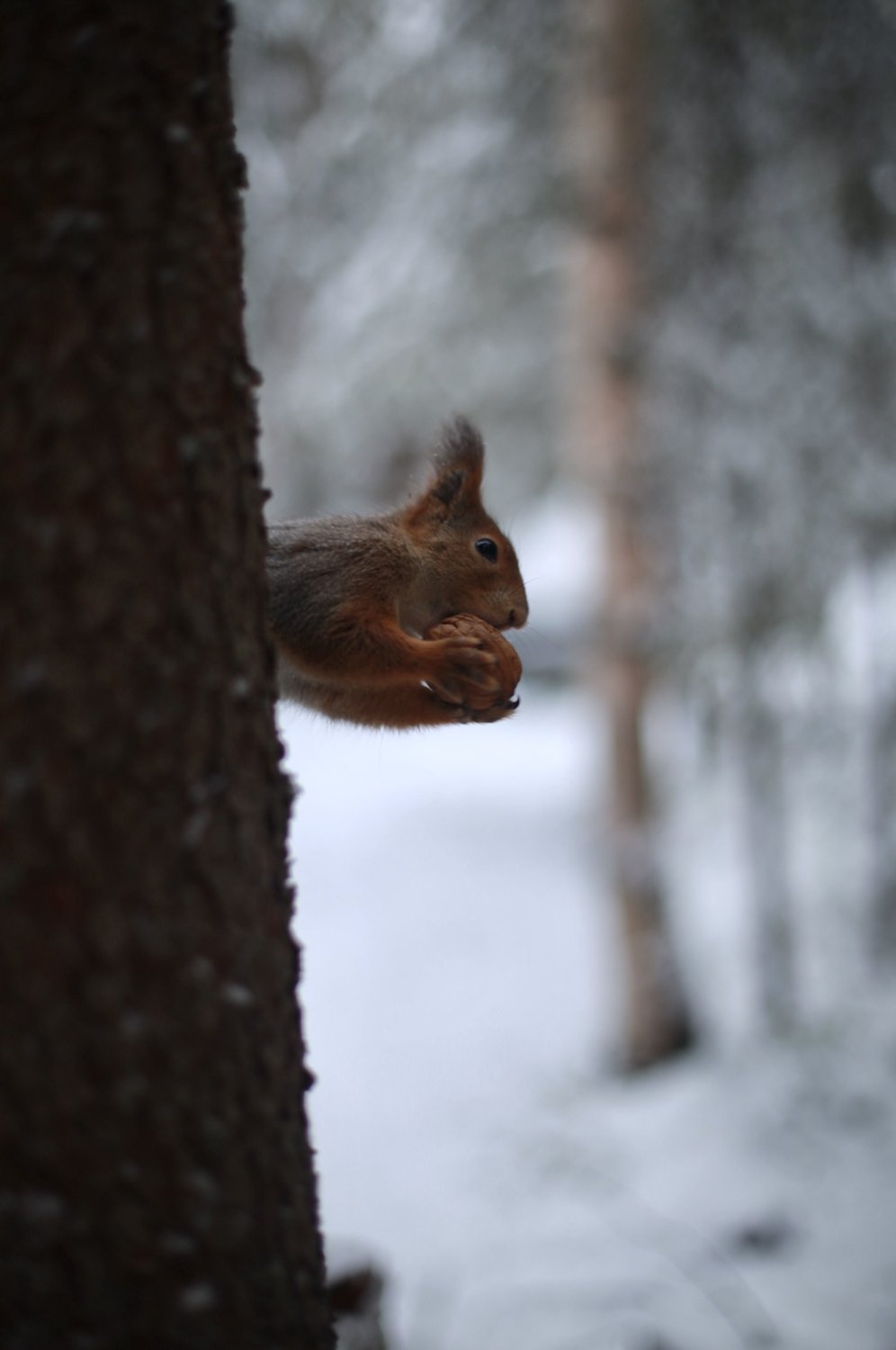 Ты не ты, когда голоден