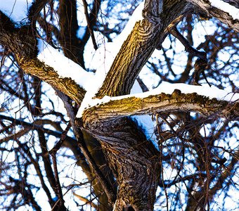 Жизненный путь