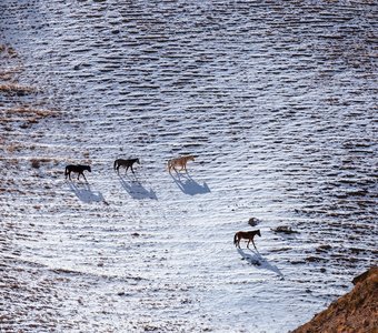Февральский минимализм