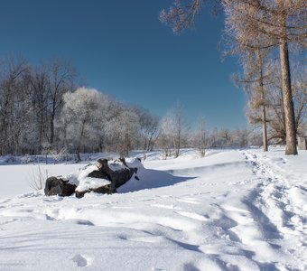 Снежное царство