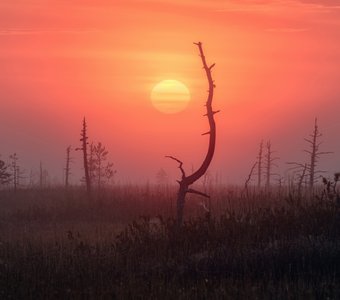 Раскалённое солнце холодного утра