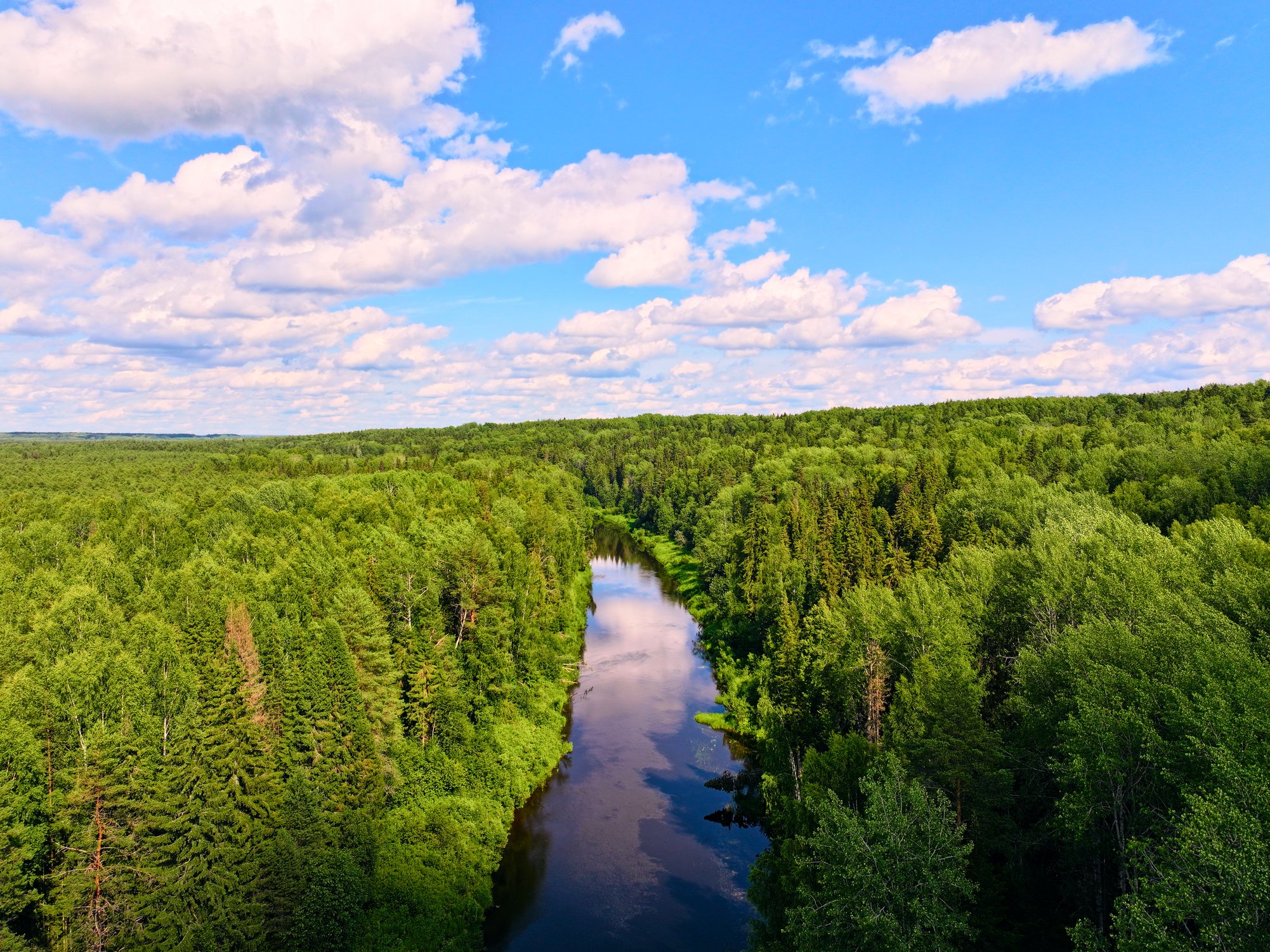 Шарм моломского плёса