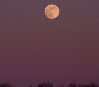 За день до полнолуния