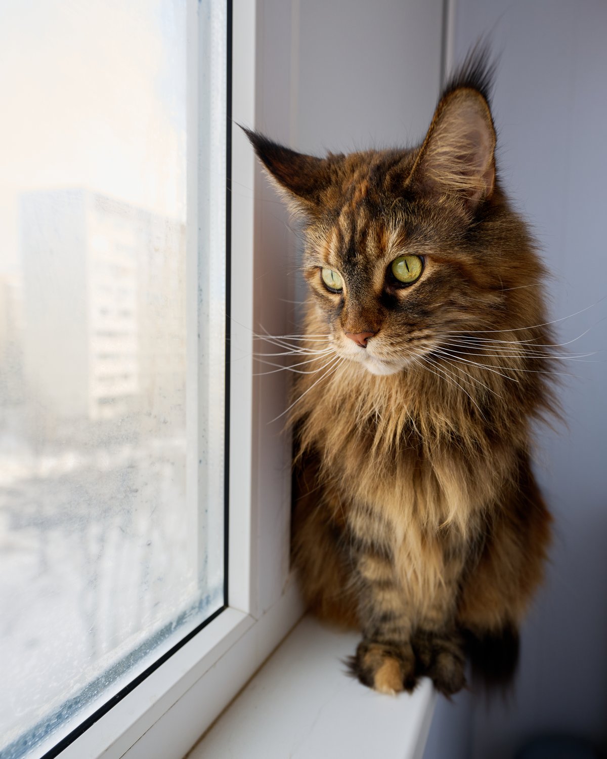 Холодно там