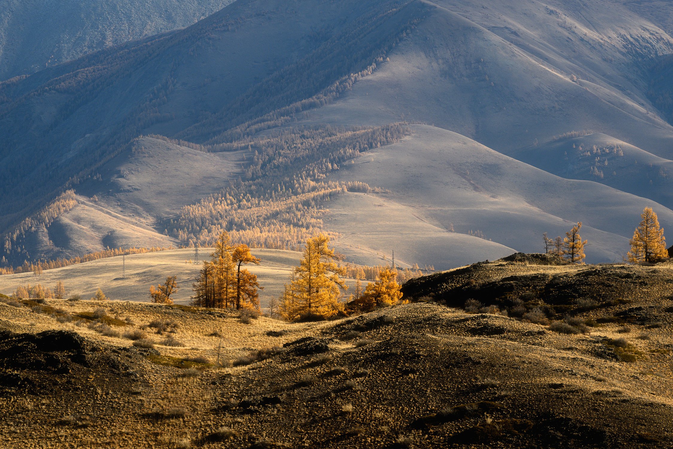 Золото на синем