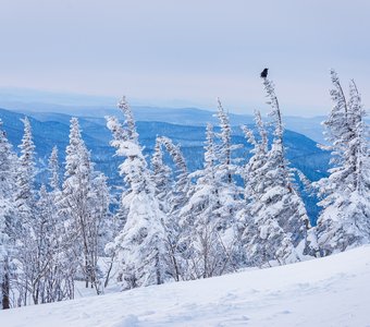 Красота гор