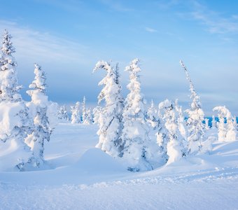 Зимний день