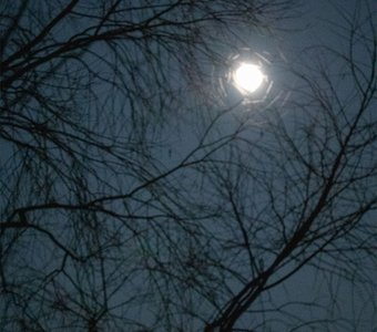 Лунная ночь