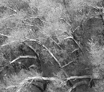 Зимняя сказка