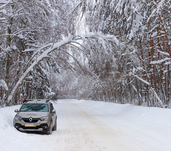 Дорога в зимнюю сказку