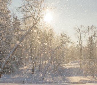 «Снежинки водят хоровод»