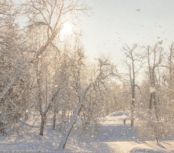 «Снежинки водят хоровод»