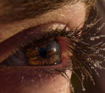 Глаз человека