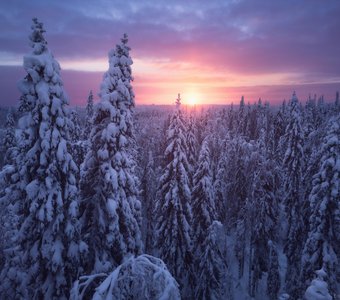 Рассвет в морозной тайге