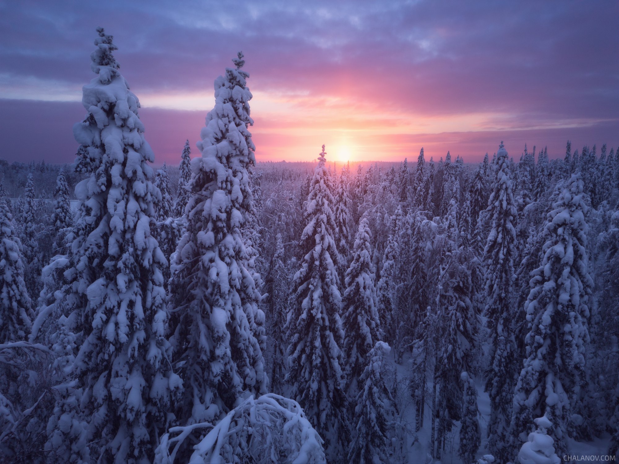 Рассвет в морозной тайге