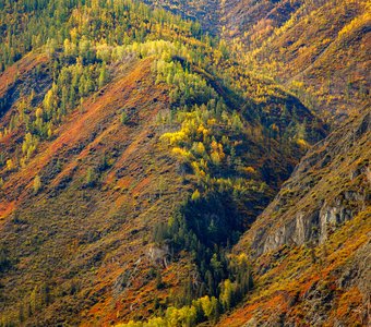 Разноцветные склоны Алтая
