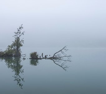 Утро туманное