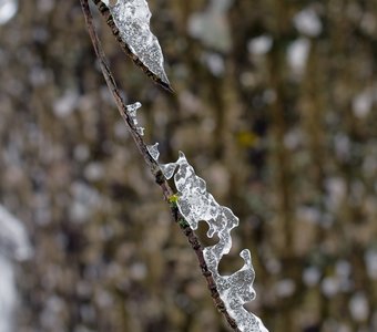 Ледяное копьё