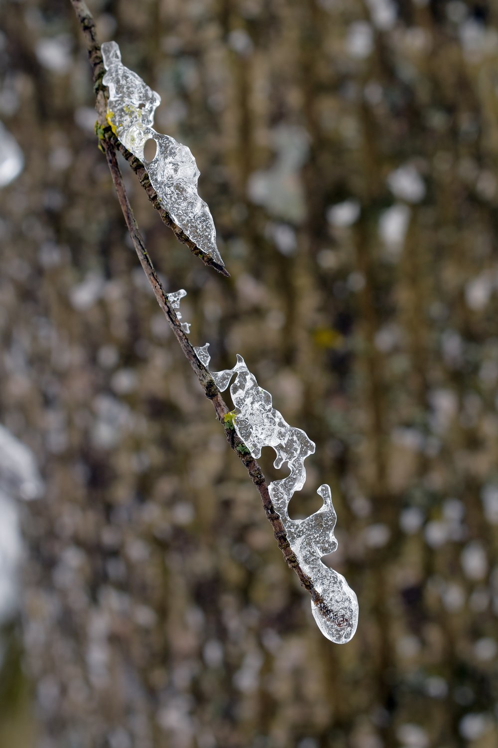 Ледяное копьё