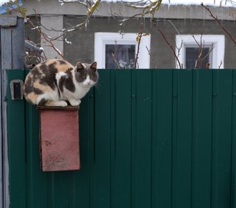 Сельский уют