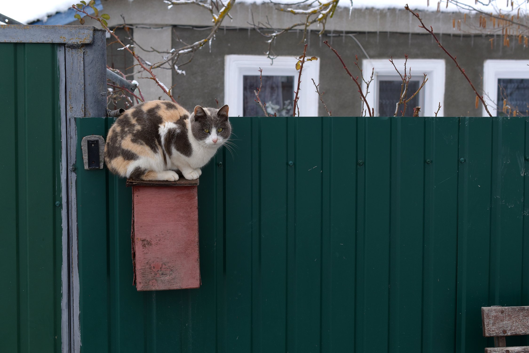 Сельский уют