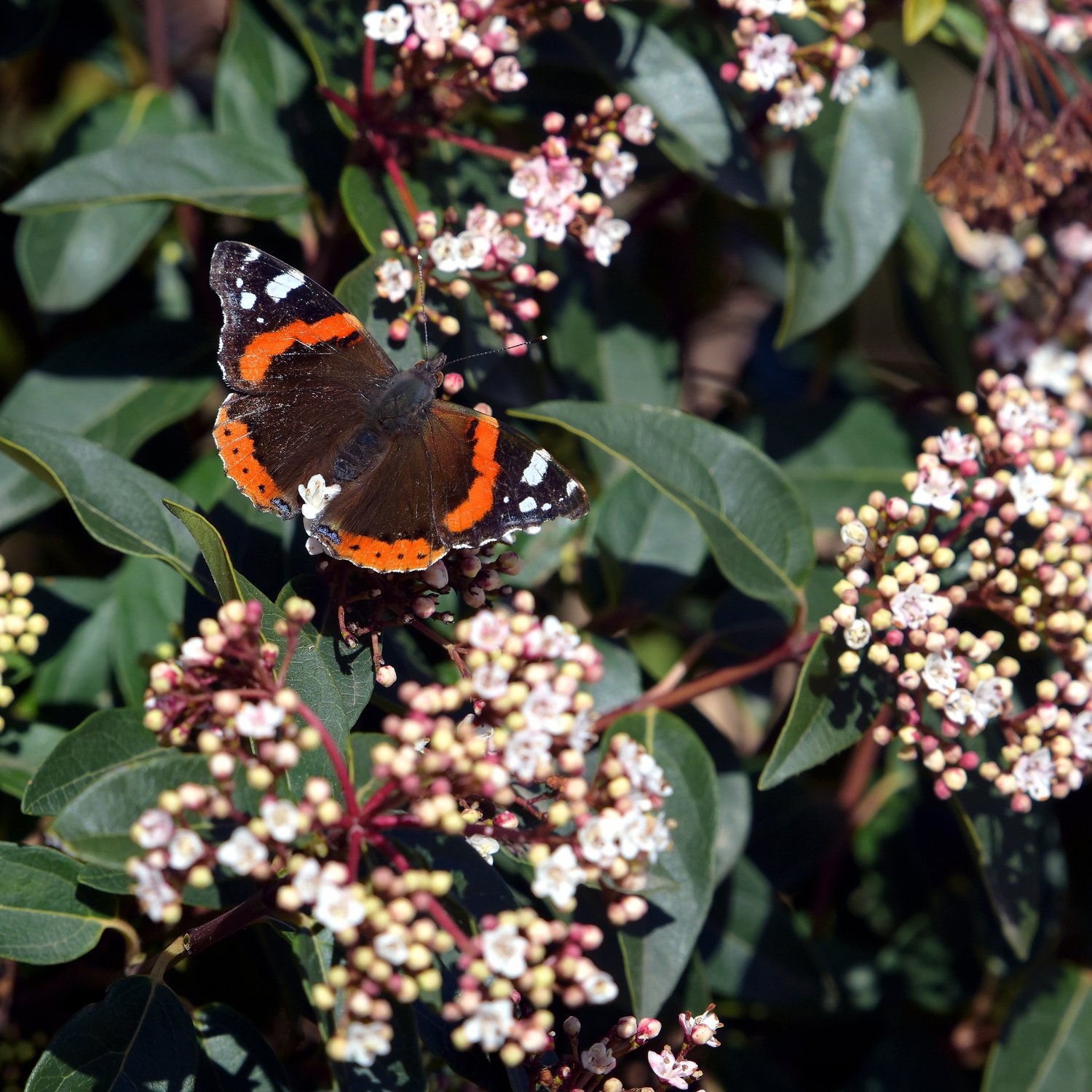 Пробуждение