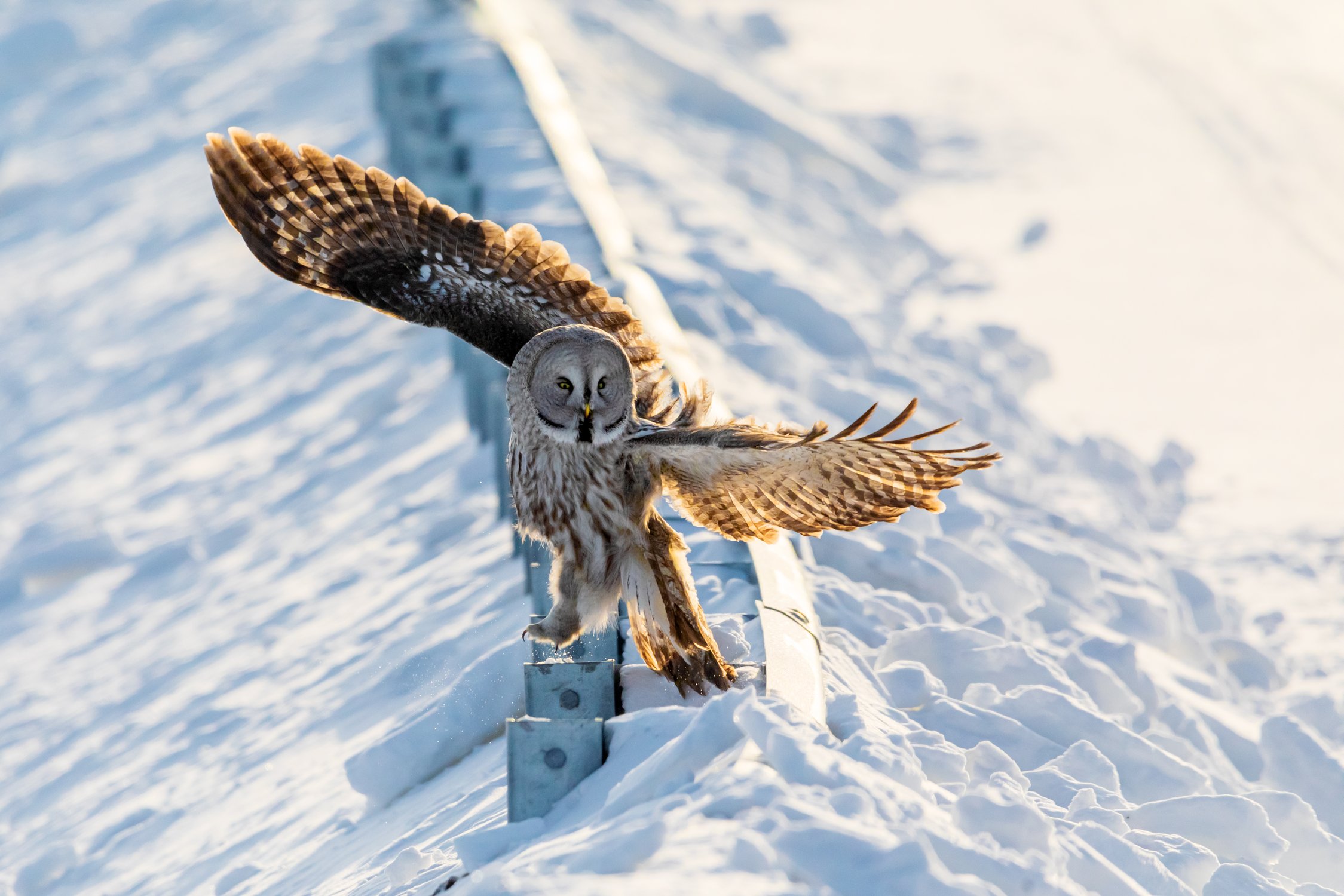 Раззудись плечо - размахнись рука!