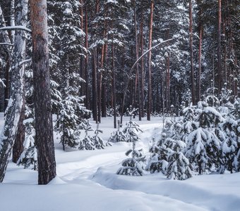 Зауральская зима