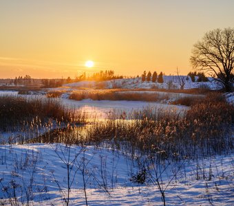 Горячее солнце января