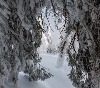 Зимняя сказка Полюда