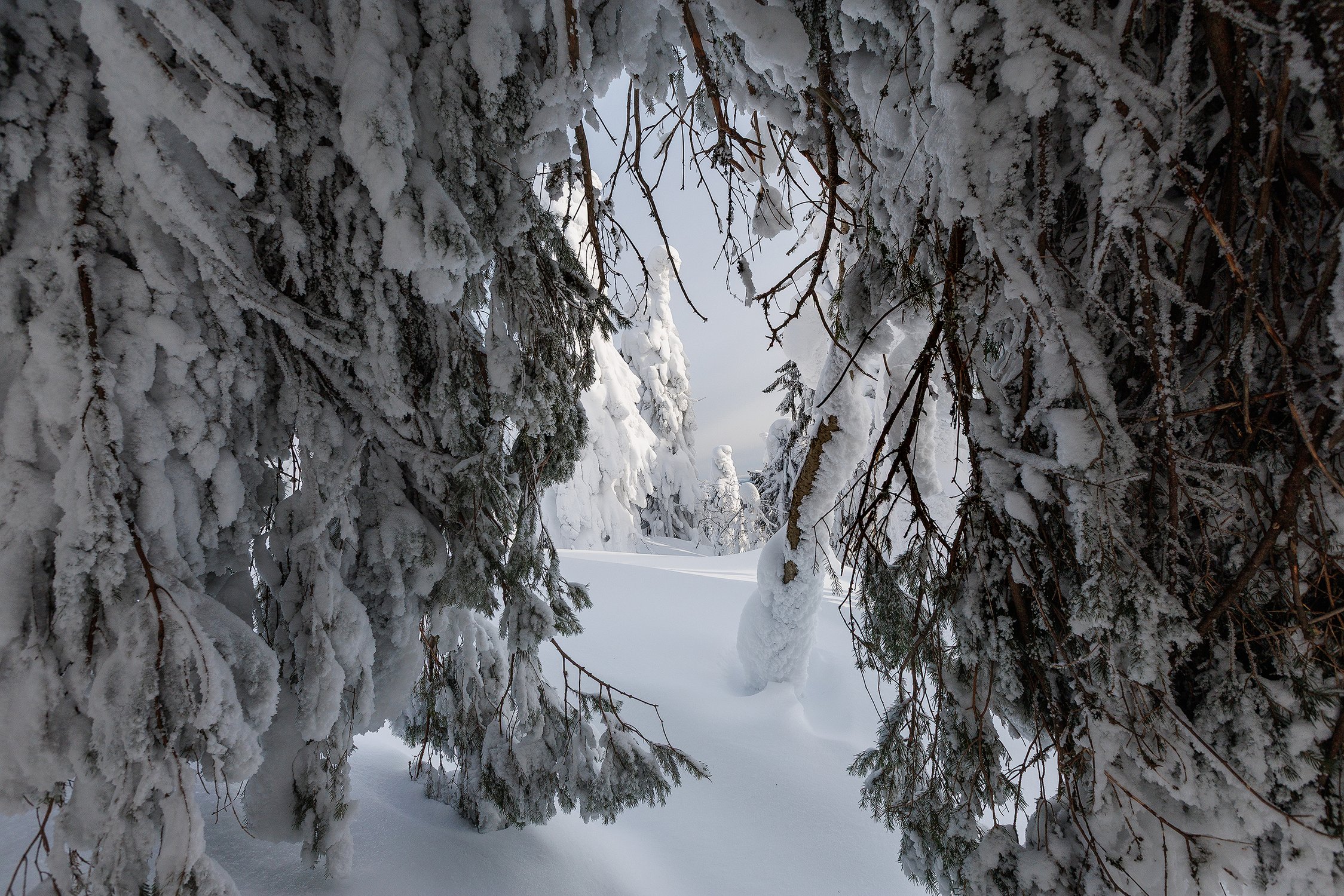 Зимняя сказка Полюда