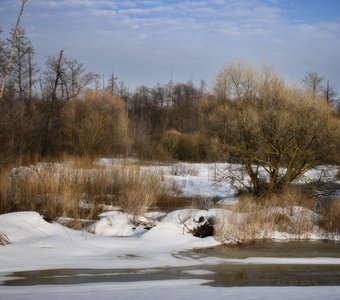 Дыхание весны