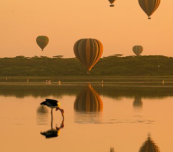 "Не взлетим, так поплаваем"