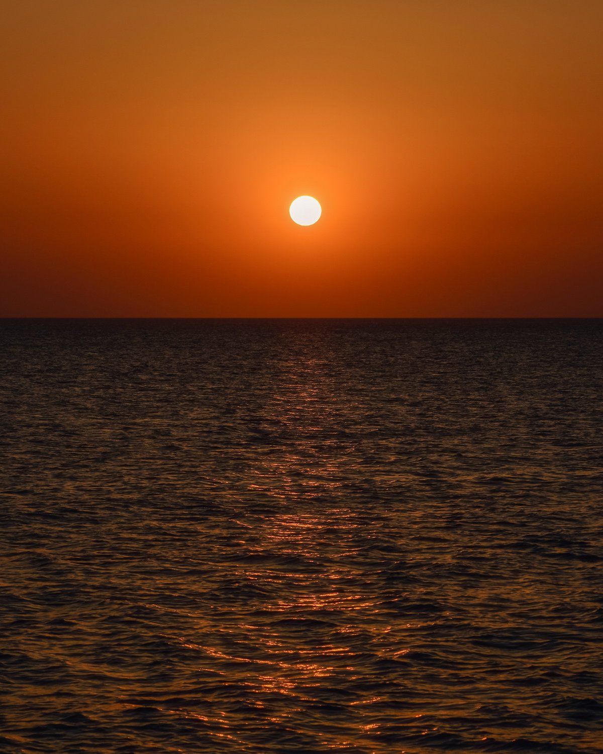 Где-то в Красном море