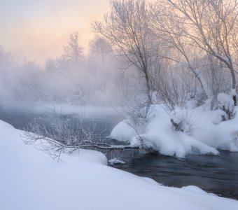 В морозном тумане