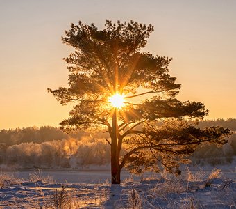 Зимний рассвет