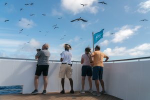 От Чукотки до Курил: в России появились круизы-экспедиции на мегаяхте