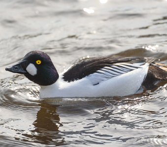 Наипрекраснейший!