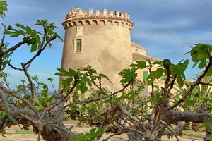 Турист наклонился за упавшими очками и сорвался с обрыва