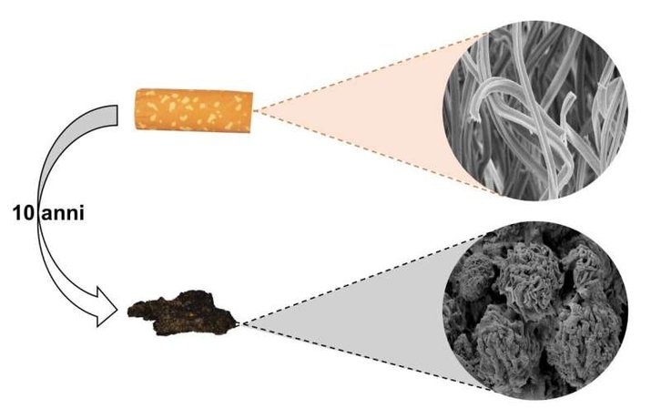 Фото: Luigi F. Di Costanzo